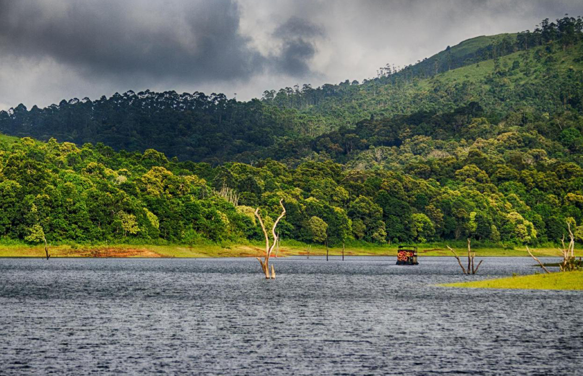 Thekkady